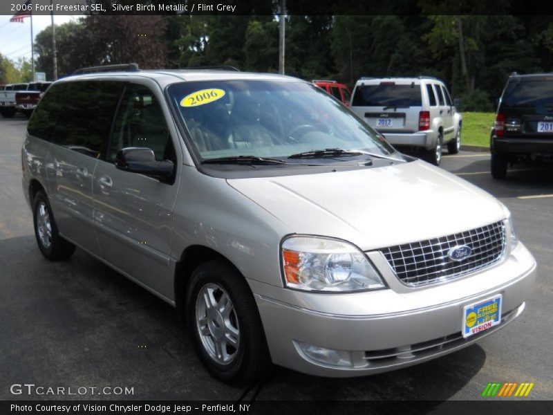 Silver Birch Metallic / Flint Grey 2006 Ford Freestar SEL