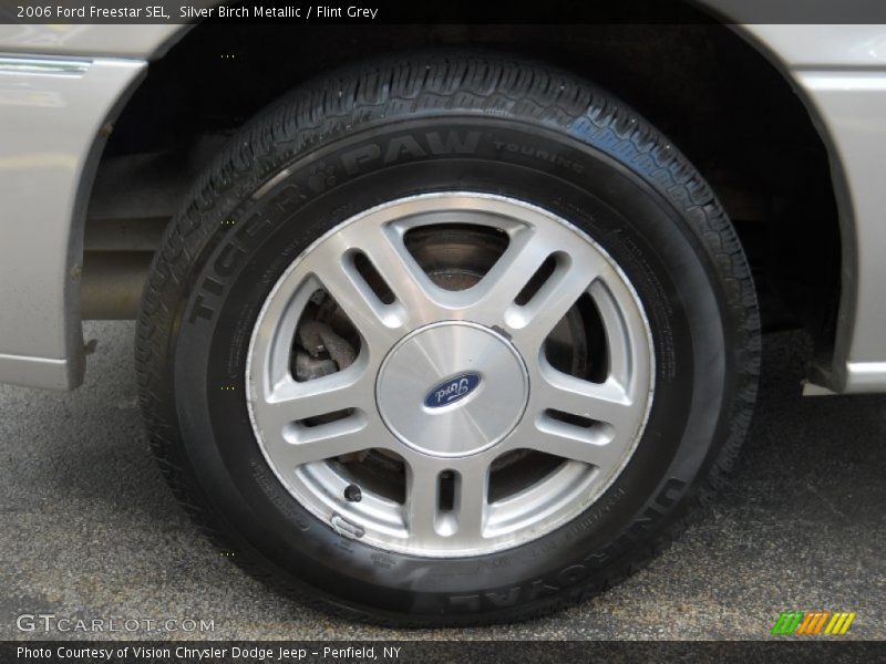 Silver Birch Metallic / Flint Grey 2006 Ford Freestar SEL