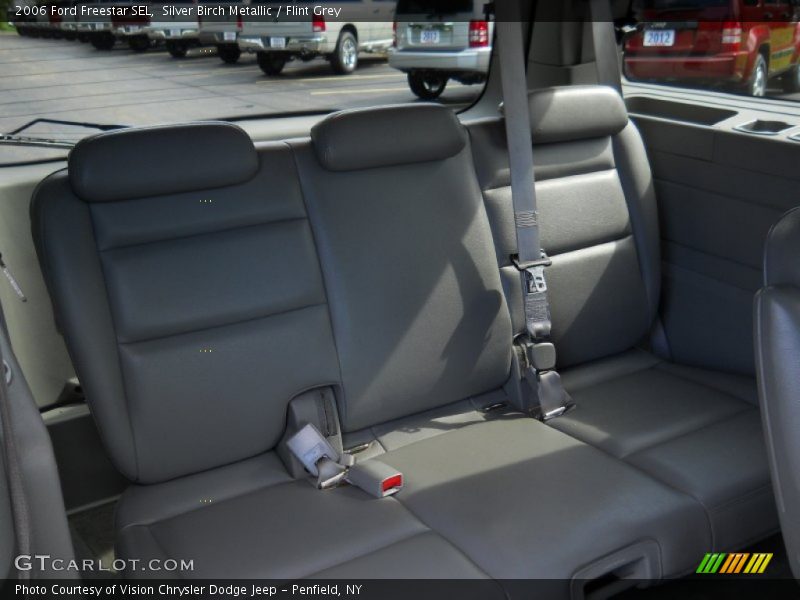 Silver Birch Metallic / Flint Grey 2006 Ford Freestar SEL