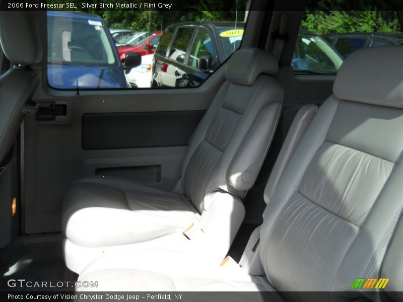 Silver Birch Metallic / Flint Grey 2006 Ford Freestar SEL
