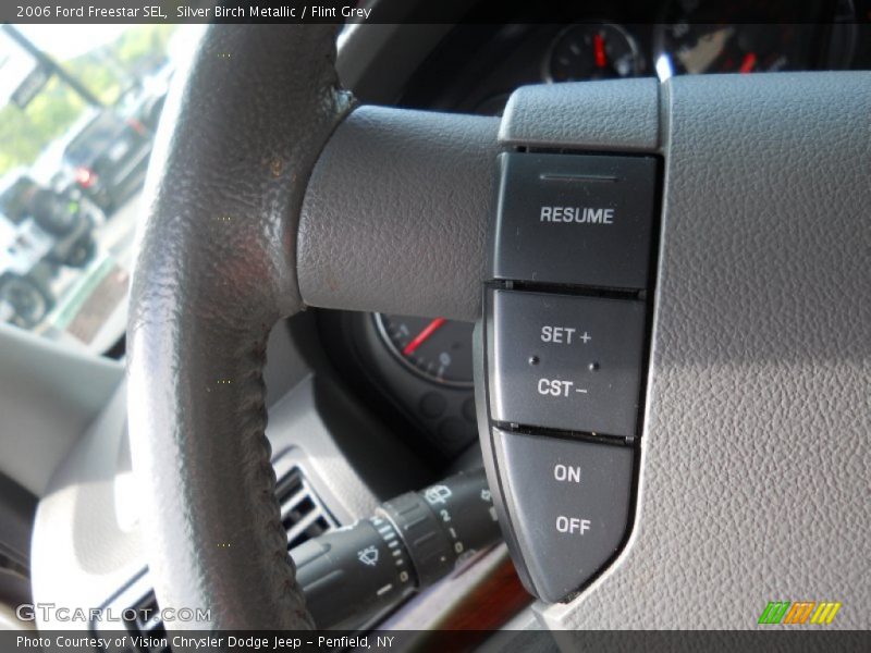Silver Birch Metallic / Flint Grey 2006 Ford Freestar SEL