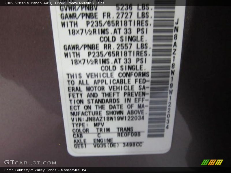 2009 Murano S AWD Tinted Bronze Metallic Color Code CAB