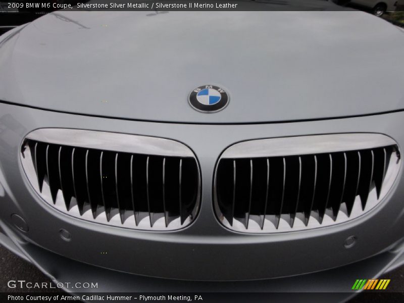 Front Grill - 2009 BMW M6 Coupe