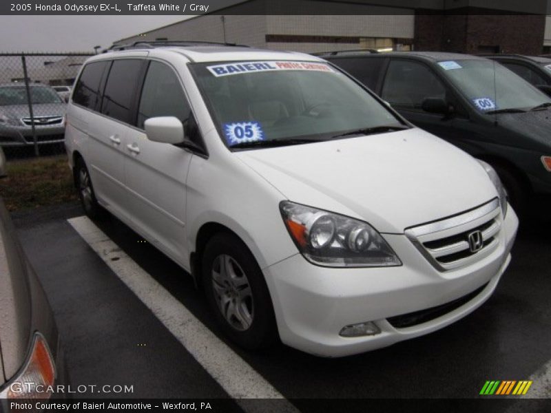 Taffeta White / Gray 2005 Honda Odyssey EX-L