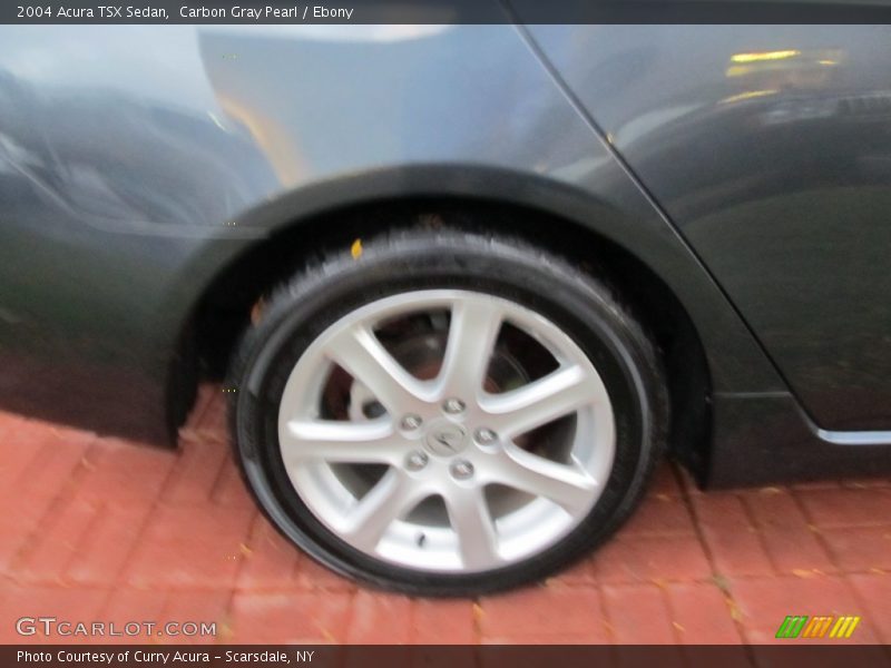Carbon Gray Pearl / Ebony 2004 Acura TSX Sedan