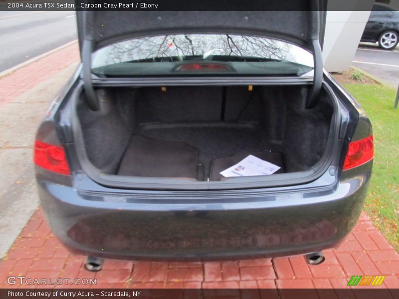 Carbon Gray Pearl / Ebony 2004 Acura TSX Sedan