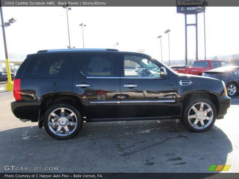 Black Raven / Ebony/Ebony 2009 Cadillac Escalade AWD
