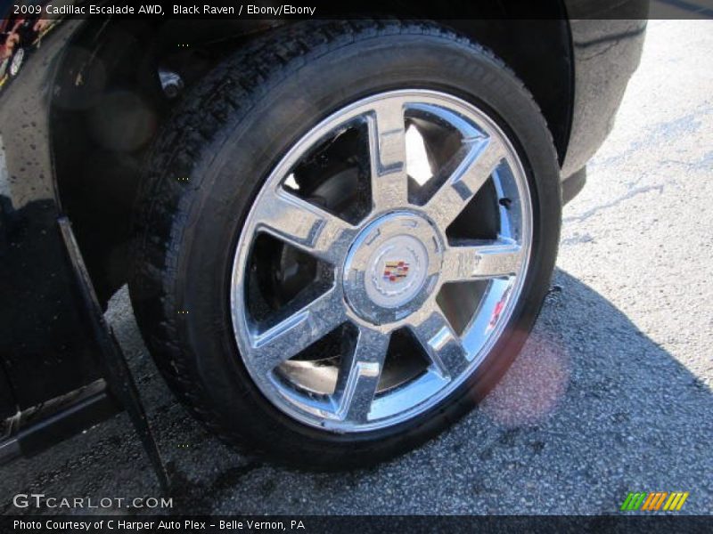Black Raven / Ebony/Ebony 2009 Cadillac Escalade AWD
