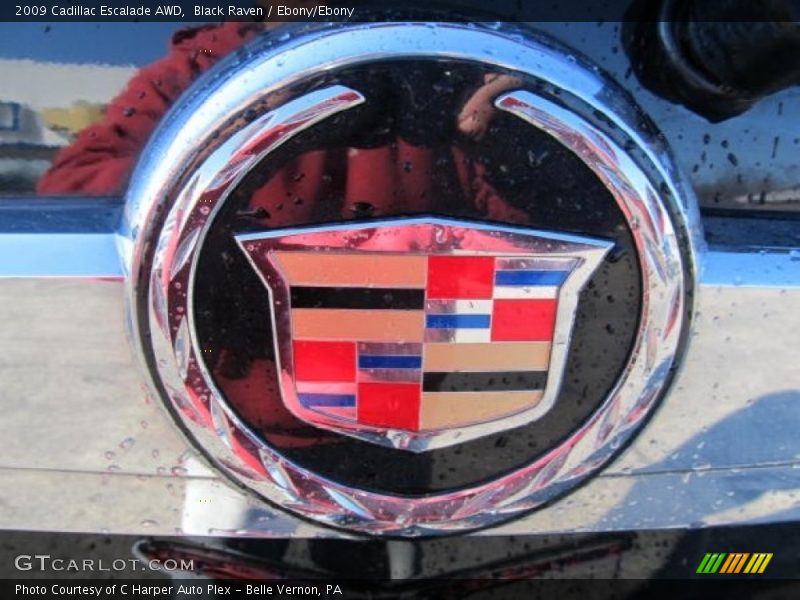 Black Raven / Ebony/Ebony 2009 Cadillac Escalade AWD