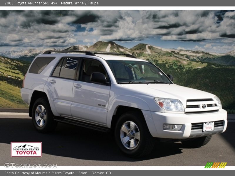 Natural White / Taupe 2003 Toyota 4Runner SR5 4x4