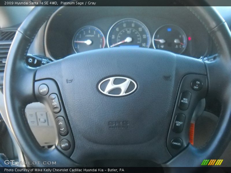 Platinum Sage / Gray 2009 Hyundai Santa Fe SE 4WD