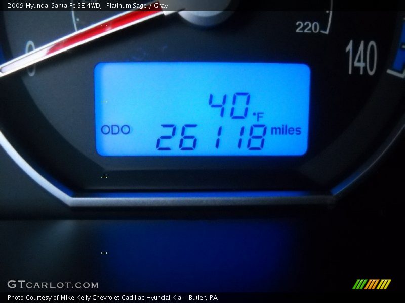 Platinum Sage / Gray 2009 Hyundai Santa Fe SE 4WD