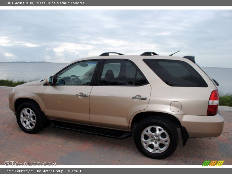  2001 MDX  Mesa Beige Metallic