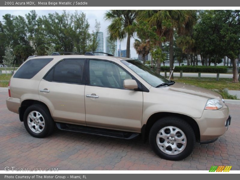 Mesa Beige Metallic / Saddle 2001 Acura MDX