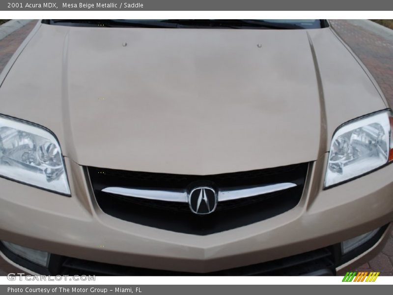 Mesa Beige Metallic / Saddle 2001 Acura MDX