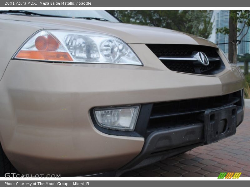 Mesa Beige Metallic / Saddle 2001 Acura MDX