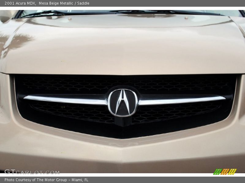 Mesa Beige Metallic / Saddle 2001 Acura MDX