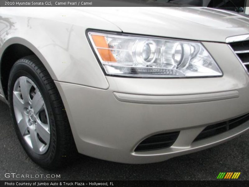Camel Pearl / Camel 2010 Hyundai Sonata GLS