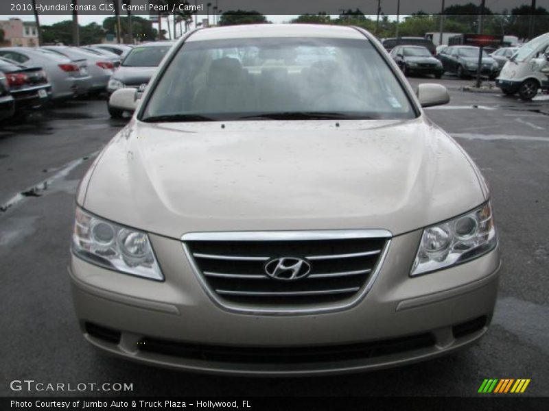 Camel Pearl / Camel 2010 Hyundai Sonata GLS
