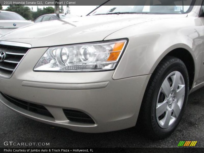 Camel Pearl / Camel 2010 Hyundai Sonata GLS