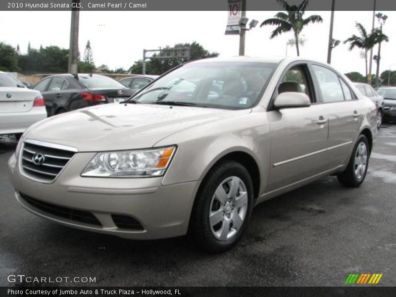 Camel Pearl / Camel 2010 Hyundai Sonata GLS