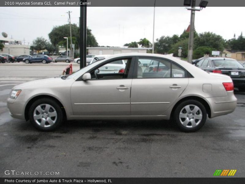 Camel Pearl / Camel 2010 Hyundai Sonata GLS