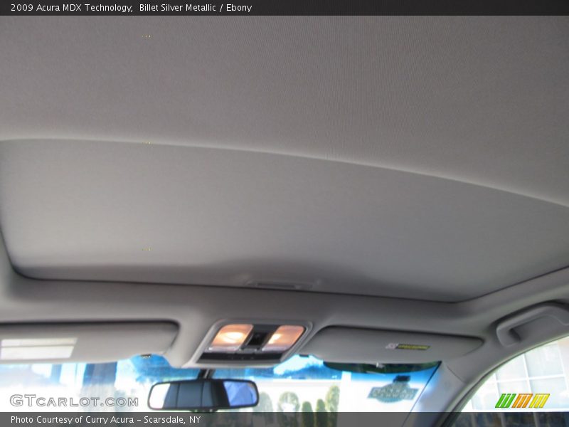 Billet Silver Metallic / Ebony 2009 Acura MDX Technology