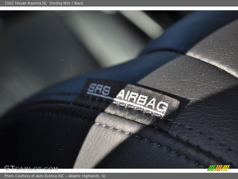 Sterling Mist / Black 2003 Nissan Maxima SE