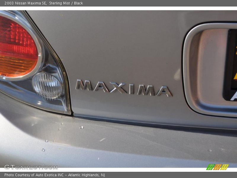 Sterling Mist / Black 2003 Nissan Maxima SE