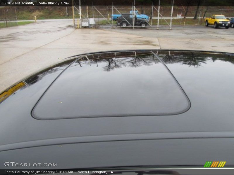 Ebony Black / Gray 2009 Kia Amanti