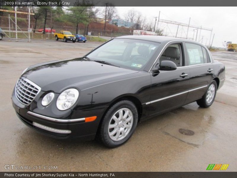 Front 3/4 View of 2009 Amanti 