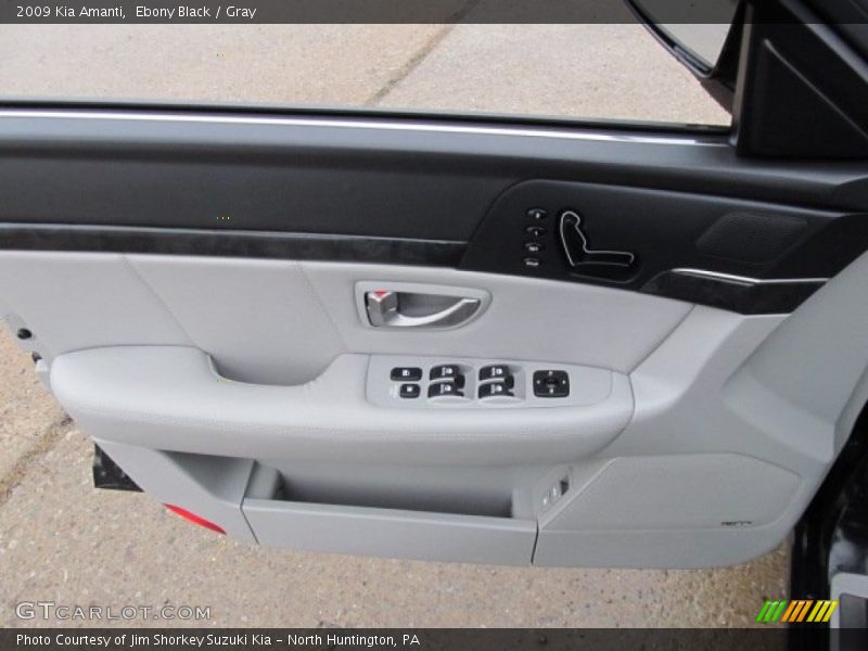 Door Panel of 2009 Amanti 