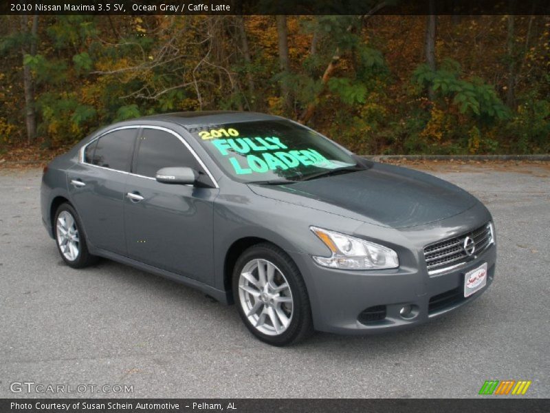 Ocean Gray / Caffe Latte 2010 Nissan Maxima 3.5 SV