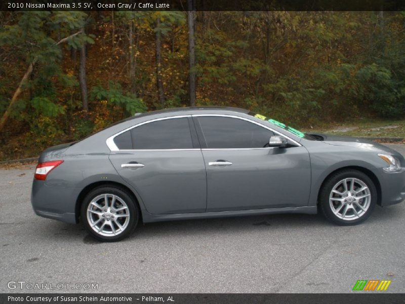 Ocean Gray / Caffe Latte 2010 Nissan Maxima 3.5 SV