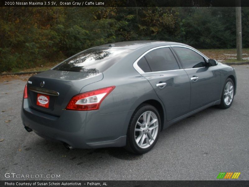 Ocean Gray / Caffe Latte 2010 Nissan Maxima 3.5 SV