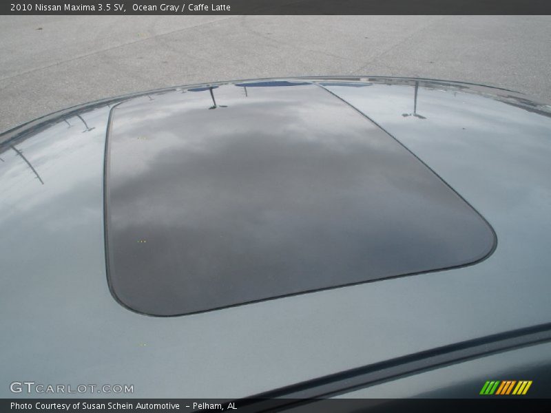 Ocean Gray / Caffe Latte 2010 Nissan Maxima 3.5 SV