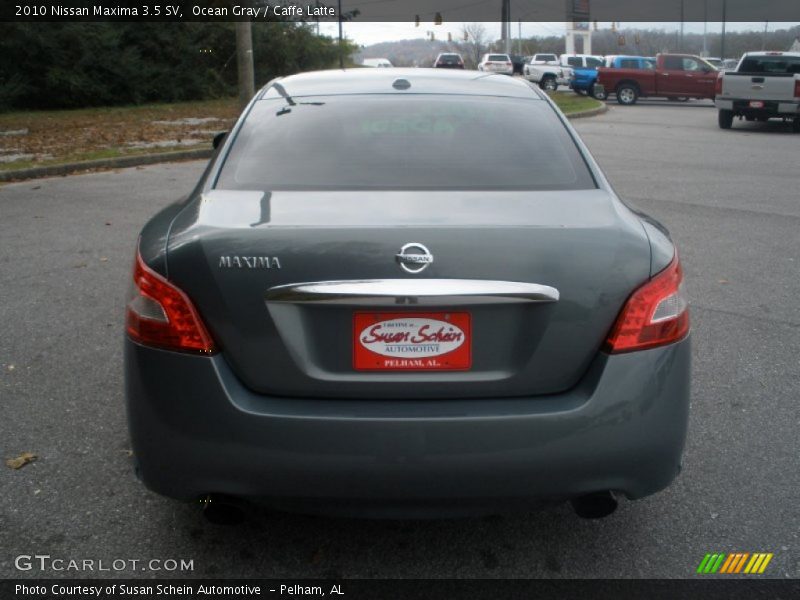 Ocean Gray / Caffe Latte 2010 Nissan Maxima 3.5 SV