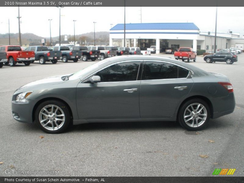 Ocean Gray / Caffe Latte 2010 Nissan Maxima 3.5 SV