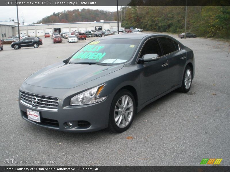 Ocean Gray / Caffe Latte 2010 Nissan Maxima 3.5 SV