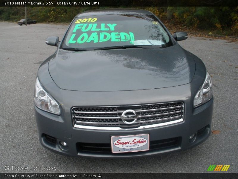 Ocean Gray / Caffe Latte 2010 Nissan Maxima 3.5 SV