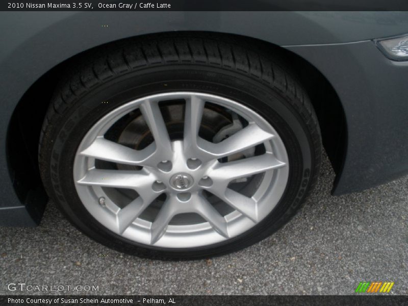 Ocean Gray / Caffe Latte 2010 Nissan Maxima 3.5 SV