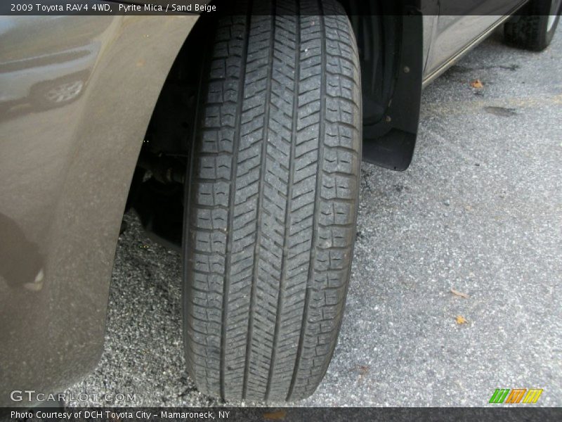 Pyrite Mica / Sand Beige 2009 Toyota RAV4 4WD
