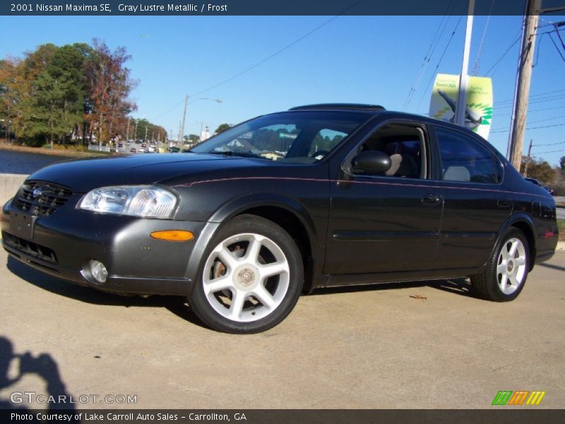 Gray Lustre Metallic / Frost 2001 Nissan Maxima SE
