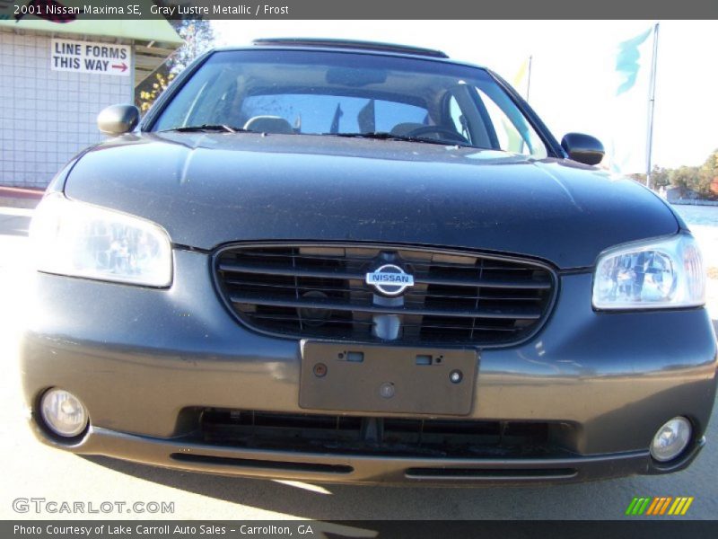 Gray Lustre Metallic / Frost 2001 Nissan Maxima SE