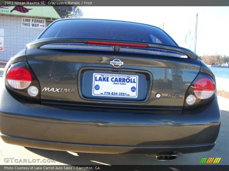 Gray Lustre Metallic / Frost 2001 Nissan Maxima SE