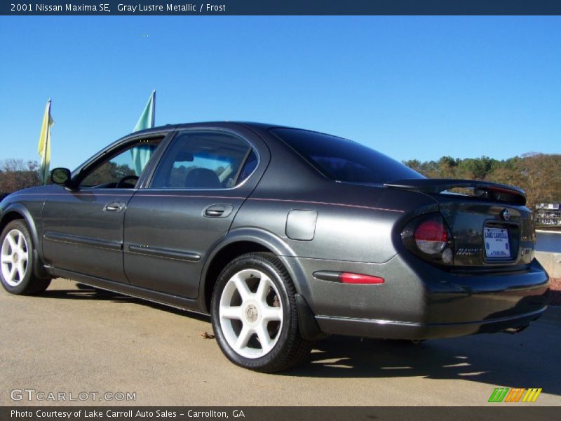 Gray Lustre Metallic / Frost 2001 Nissan Maxima SE