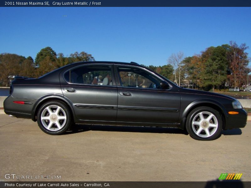 Gray Lustre Metallic / Frost 2001 Nissan Maxima SE