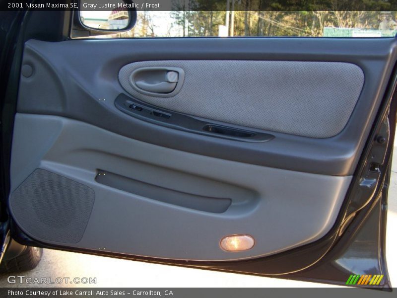 Gray Lustre Metallic / Frost 2001 Nissan Maxima SE