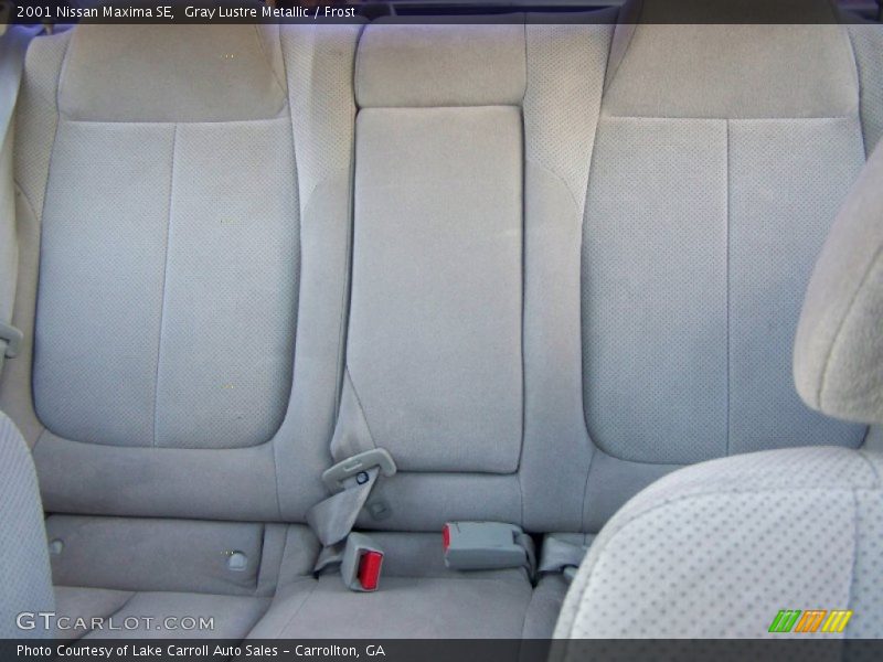 Gray Lustre Metallic / Frost 2001 Nissan Maxima SE