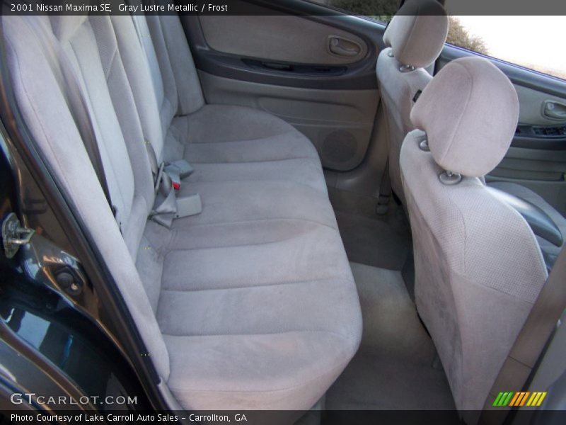Gray Lustre Metallic / Frost 2001 Nissan Maxima SE